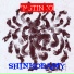 Shinkodamy