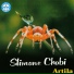 Slimane Chabi
