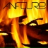 Anflure