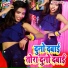Pankaj Premi, Lavkumar Kartik