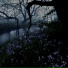 Everglade