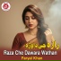 Faryal Khan