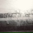 Time Loop Anomaly