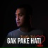 Pakdhe Polo