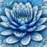 Cloudsurfin', lightheart, Lightflower