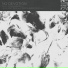No Devotion