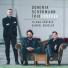 Dominik Schürmann trio