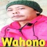 wahono