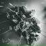 PurpLex feat. dncchK