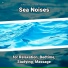 Sea Waves Sounds, Ocean Sounds, Nature Sounds