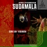 Wayan Sudirana