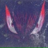 Fallen Life