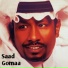 Saad Gomaa
