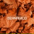 Behnamico