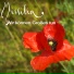 Missilia