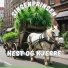 Sinsenprinsen