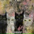 ОКРУГ-СИКОФАНТОВ