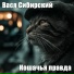 Вася Сибирский