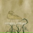 The Spill Canvas
