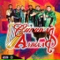Grupo Cuerdas Andinas