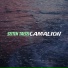 Camalion