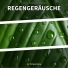 Karsten Oxer, Regengeräusche, Naturgeräusche