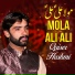 Qaiser Hashmi