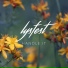 Lysfest