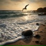 Velune, Nature Sounds Nature Music