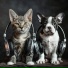 Calm Animals Music, The Way, Ensemble Reiki