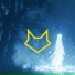 DRN