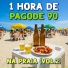 Leleco