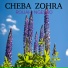 Cheba Zohra