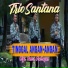 Trio Santana