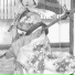 Susa