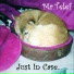 Mr. Telef