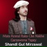 Shandi Gul Mizarwal