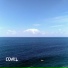 COVEL