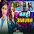 Aditya Deewana