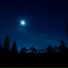 loonline.way