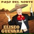 Eliseo Guevara