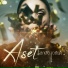 ASET