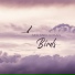 Calm Singing Birds Zone