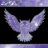 AfterFly