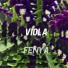 Fenya