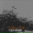 Jbx Wonder feat. cxcainebeats
