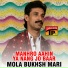 Mola Bukhsh Mari