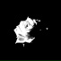 Msh Flux