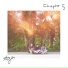 Chapter 5