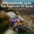 Naturlyde